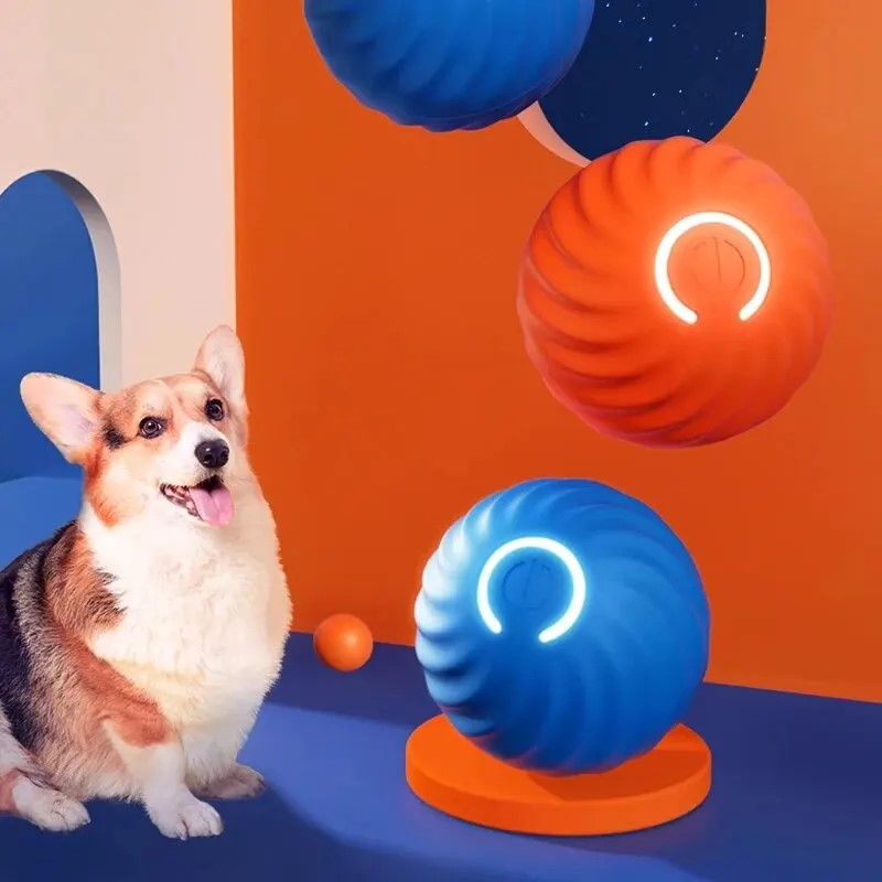Cute corgi sitting with smart gravity jump ball, rechargeable interactive dog and cat toy in blue and orange, colorful room background