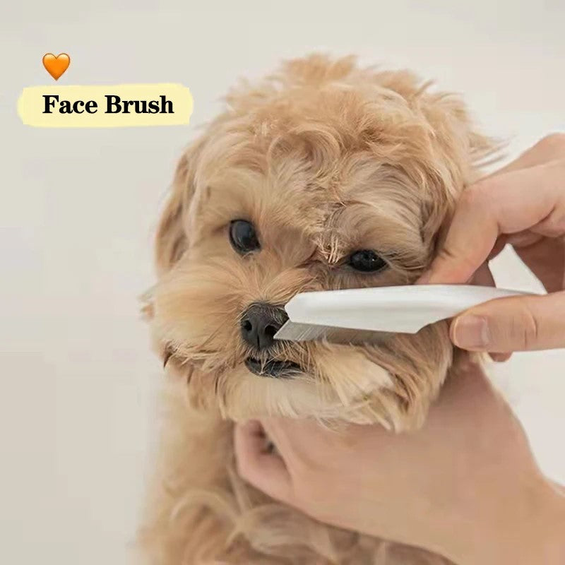 White pet facial cleaning brush grooming a small brown dog, focusing on face care